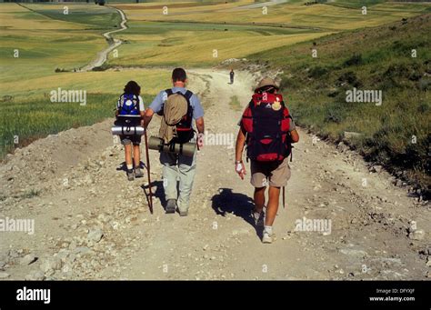 Pilgrims between RabÃ de las Calzadas y Hornillos del Camino Cuesta