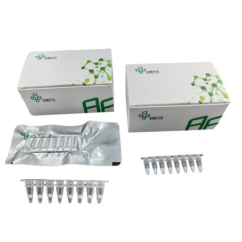 High Performance DNA Isothermal PCR Amplification Kit For Accurate PCR