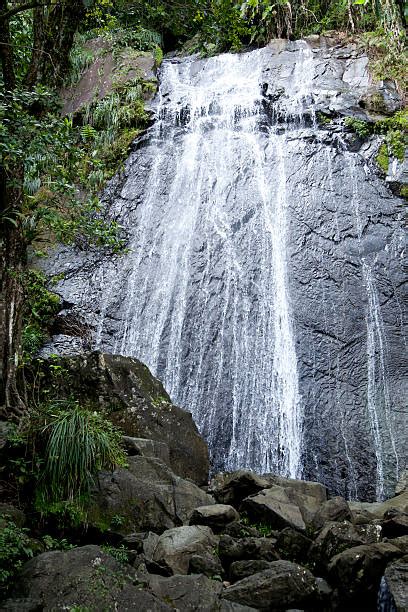 200+ El Yunque Waterfalls Stock Photos, Pictures & Royalty-Free Images ...