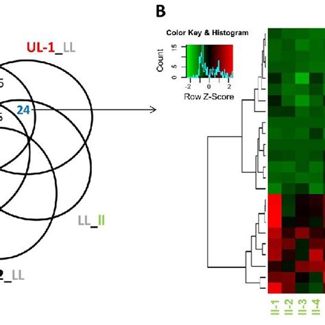 Differentially Expressed Genes In The Hypertrophic Region Of The Lips