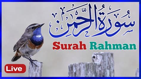 Surah Rahman Ar Rahman Beautiful Recitation Morning Dua Manzil