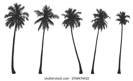 Set Black Silhouette Coconut Tree Isolated Stock Vector Royalty Free