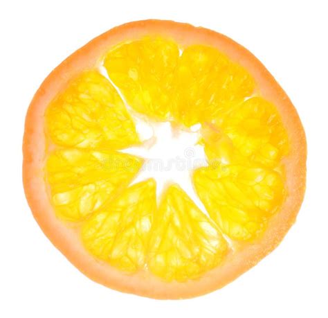 A Slice Of Tangerine Stock Image Image Of Refreshment 17831173