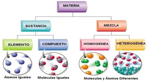 Grados Sextos Cla Ciencias Naturales 6b