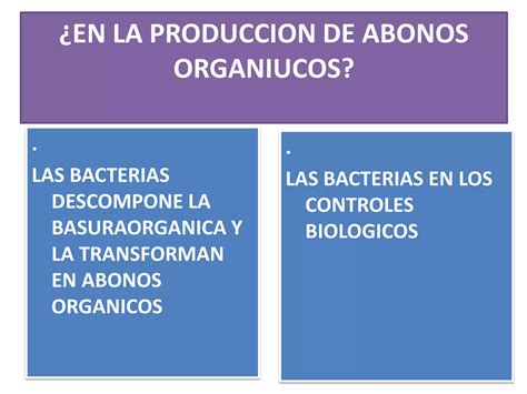 Importancia De Las Bacterias Ppt