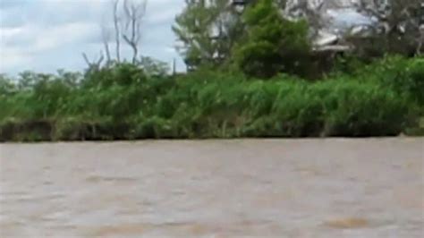 Filmando Os Botos E O Encontro Das Guas Dos Rios Tapaj S E Amazonas Em