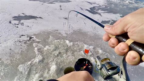 AMAZING Day Ice Fishing For All Kinds Of Fish Multi Species Ice