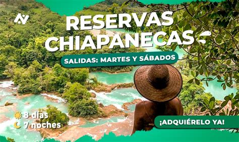 Ofertas De Viaje Otisa Viajes