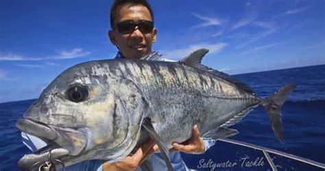 International Fishing News Video Giant Trevally Heavy Popping In Hawaii