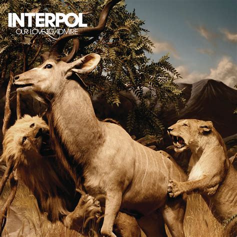 Our Love To Admire Album De Interpol Spotify