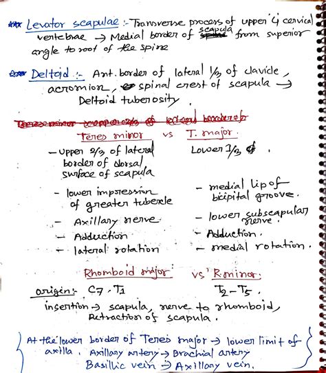 SOLUTION Upper Limb Anatomyn Mrcs A Studypool