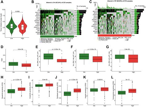 Identification Of Hypoxic Related Lncrnas Prognostic Model For