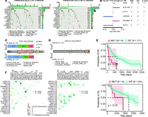 Mutation Differences Between The High Crd And Low Crd Groups A