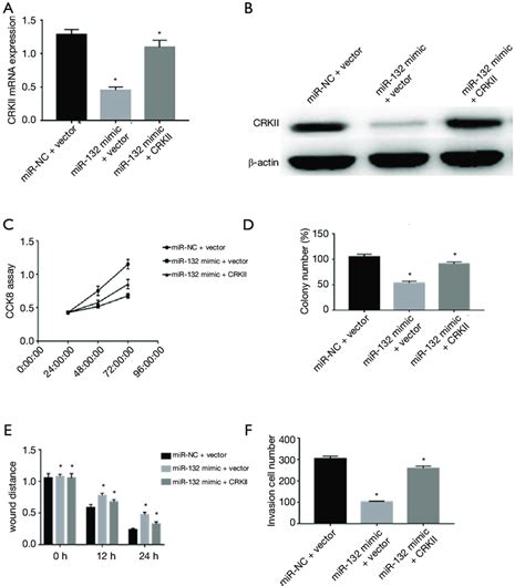 Mir Inhibits Cell Proliferation Colony Formation Migration And