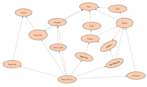 Clone Of Taiga Food Web Insight Maker