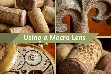 Macro Photography - How to Use a Macro Lens | Macro photography tips ...