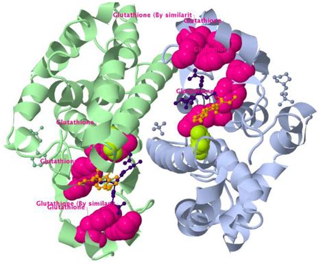 Glutathione S Transferase In Complex With Platinum And Ethacrynic Acid