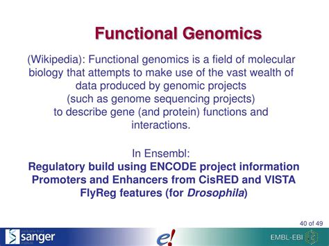 Ppt Variation And Functional Genomics Powerpoint Presentation Free