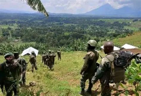 Nord Kivu Reprise Des Affrontements Entre Les FARDC Wazalendo Et