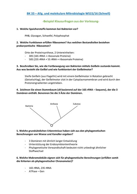 Probeklausur Wintersemester Fragen Und Antworten Bk