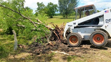 Land Clearing Land