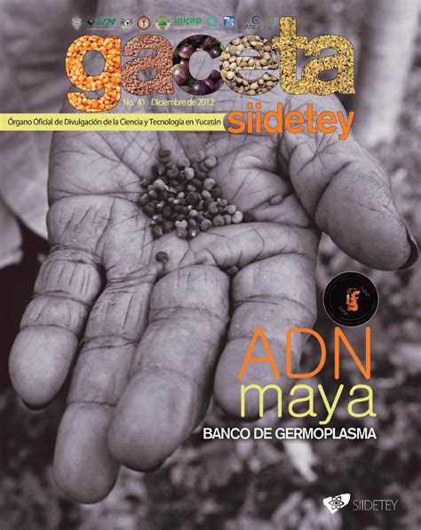 Adn Maya By Siidetey Issuu