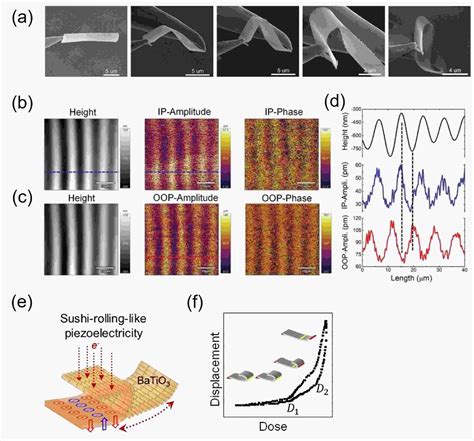 Freestanding Oxide Membranes Synthesis Tunable Physical Properties