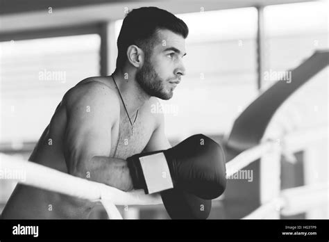 Black White Photo Of Handsome Boxer Stock Photo Alamy