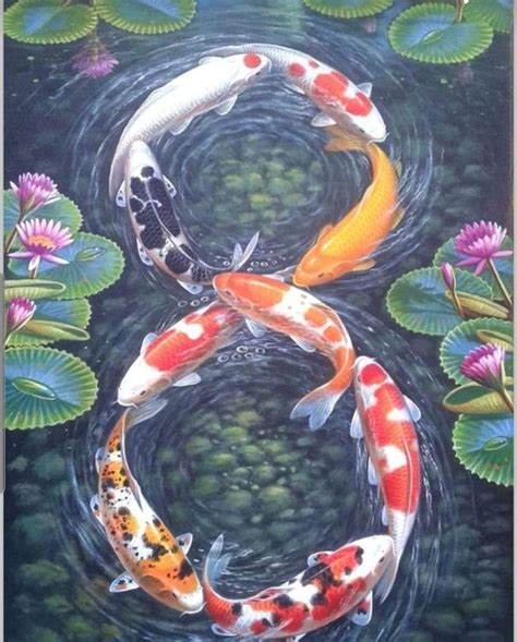 Two Koi Fish Are Swimming In The Water