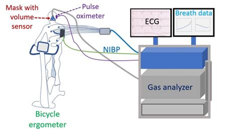 Role Of Cardiopulmonary Exercise Testing Cpet In Heart Failure All