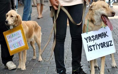 Hayvan Hakları Evrensel Beyannamesi Ekoloji Birliği