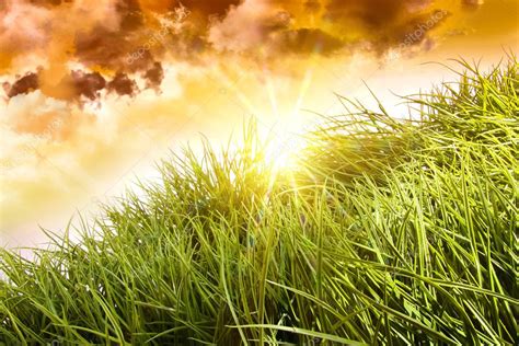 Tall Grass Blowing In The Wind — Stock Photo © Sandralise 3250516