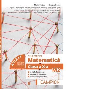 Culegere De Matematica M2 Clasa A X A Semestrul II Metode De