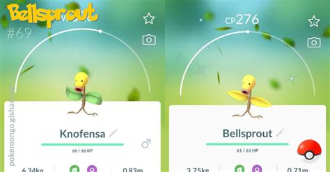 Bellsprout - Pokemon Go