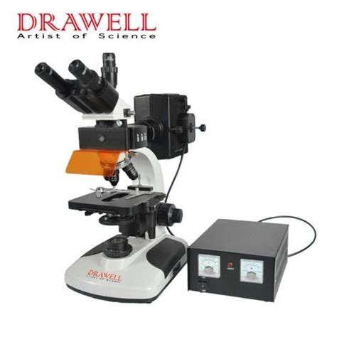 Fluorescence Microscope Basics Guide Principle Application Drawell