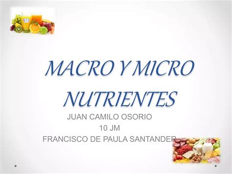 Macro Y Micro Nutrientes PPT Descarga Gratuita