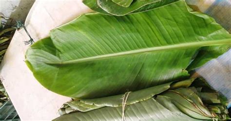 Hoja De Bijao Para Tamales X 12 Domicilios De Frutas Y Verduras