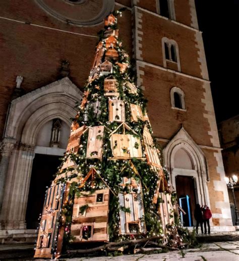 cat friendly xmas tree 4