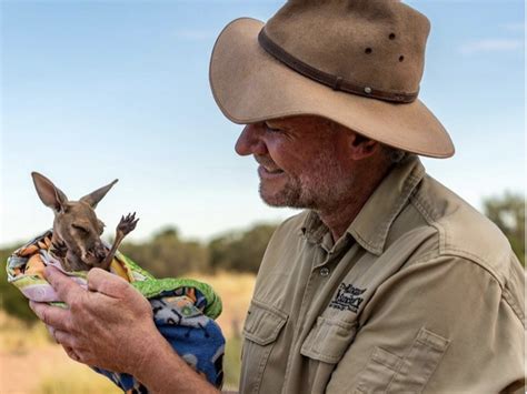 What My Job Is Like Taking Care of Baby Kangaroos for a Living - Business Insider