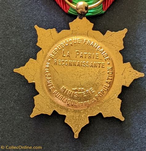 M Daille De La Famille Fran Aise Mod Le Medals France