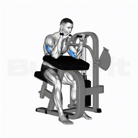 Tricep Extension Machine - Smash your limit! BurnFit