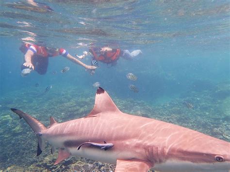 Pulau Perhentian Snorkeling