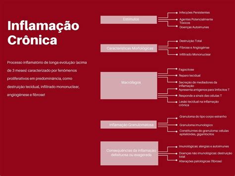 Infográfico Inflamação Crônica Patologia I