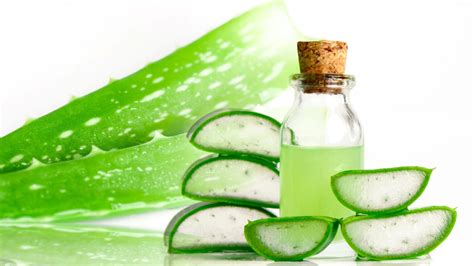 Aloe Vera La Guida Completa E Benefici