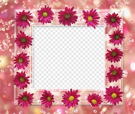 Flower Photo Frame Design Flower Frame Floral Frame Happy Birthday