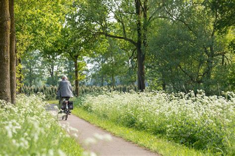 Fietsen En Wandelen In De Achterhoek De Twee Bruggen