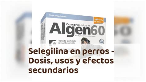 Selegilina en perros - Dosis, usos, efectos secundarios y ...