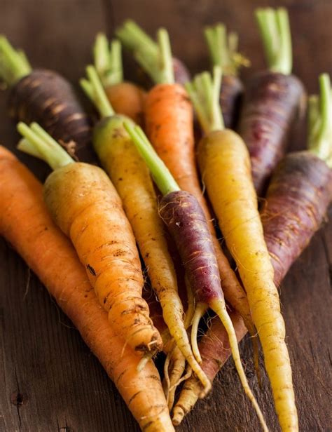 Real Food Encyclopedia | Carrots | FoodPrint