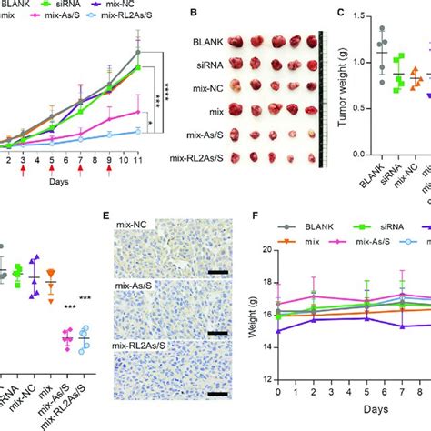 In Vivo Antitumor Efficiency And Braf V E Gene Silencing Activity Of