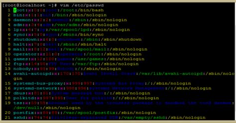 5 aplicações de terminal Linux que você precisa conhecer NERD EXPERT